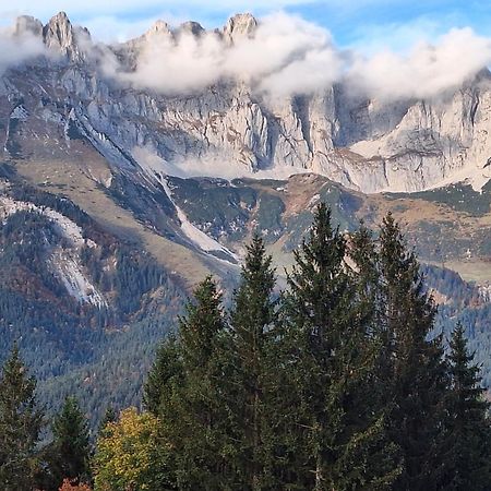 Apartment Unterhollenau Going am Wilden Kaiser 外观 照片
