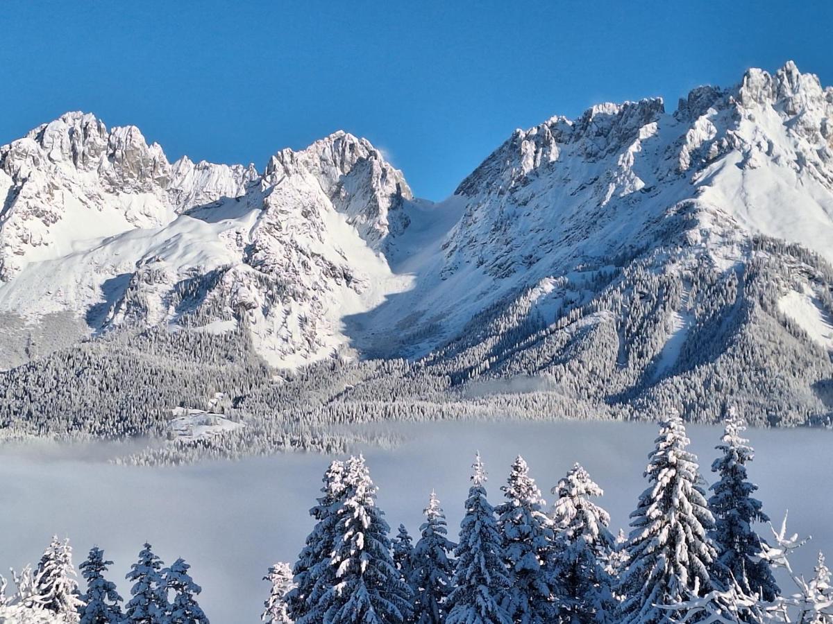 Apartment Unterhollenau Going am Wilden Kaiser 外观 照片