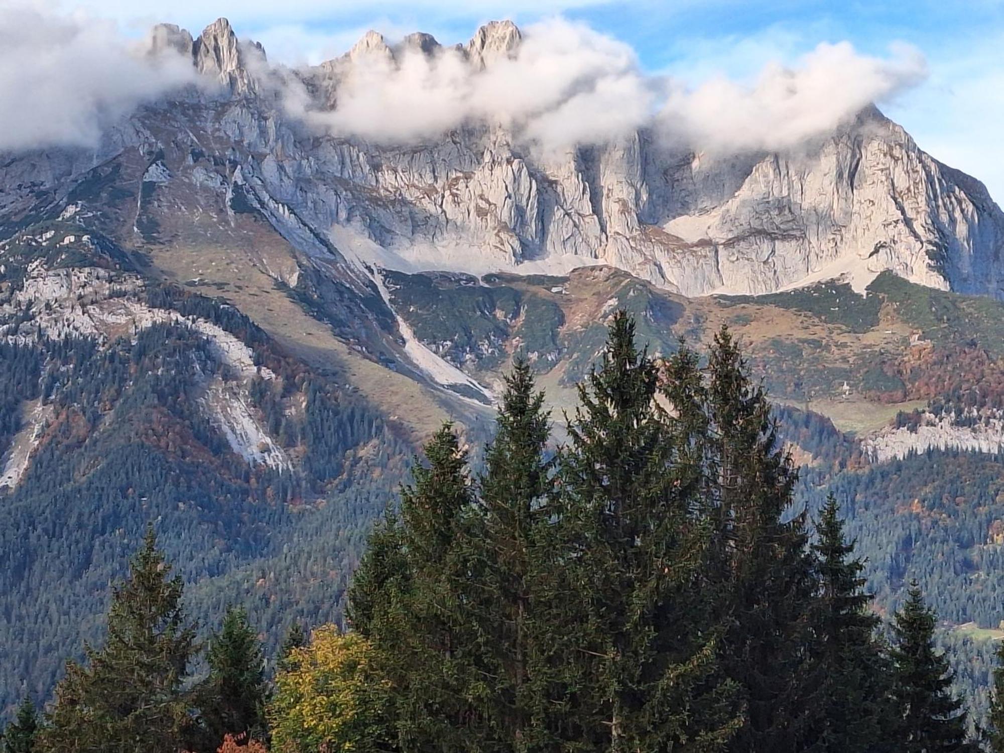 Apartment Unterhollenau Going am Wilden Kaiser 外观 照片