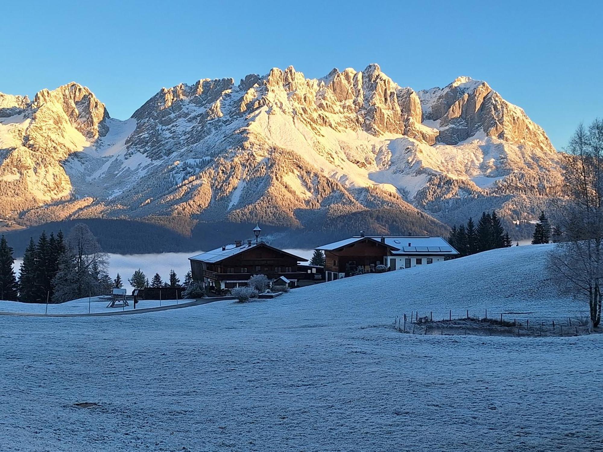 Apartment Unterhollenau Going am Wilden Kaiser 外观 照片